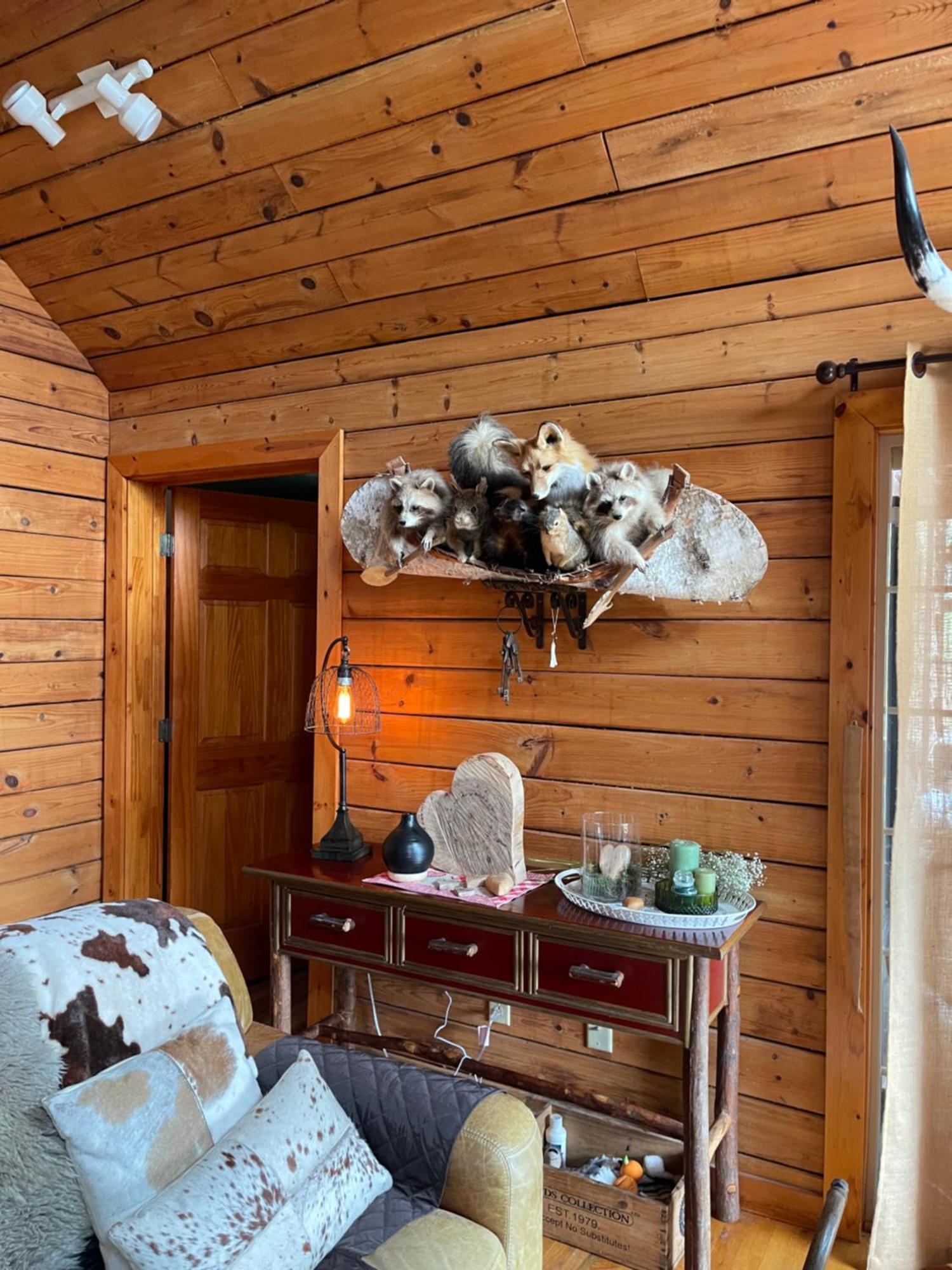 Homestead Retreat Newport Bagian luar foto